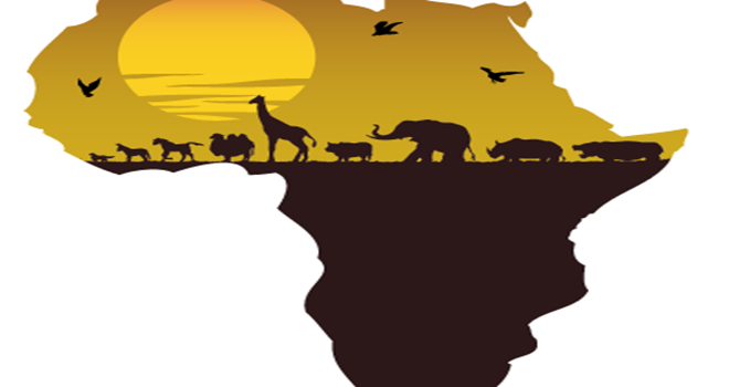 África mestra